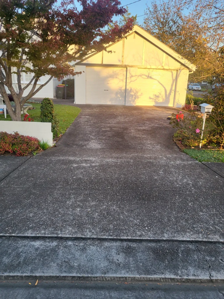 Driveway before pressure washing in Eastwood