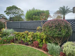 Fence and trellis freshly painted with charcoal colour in Sydney