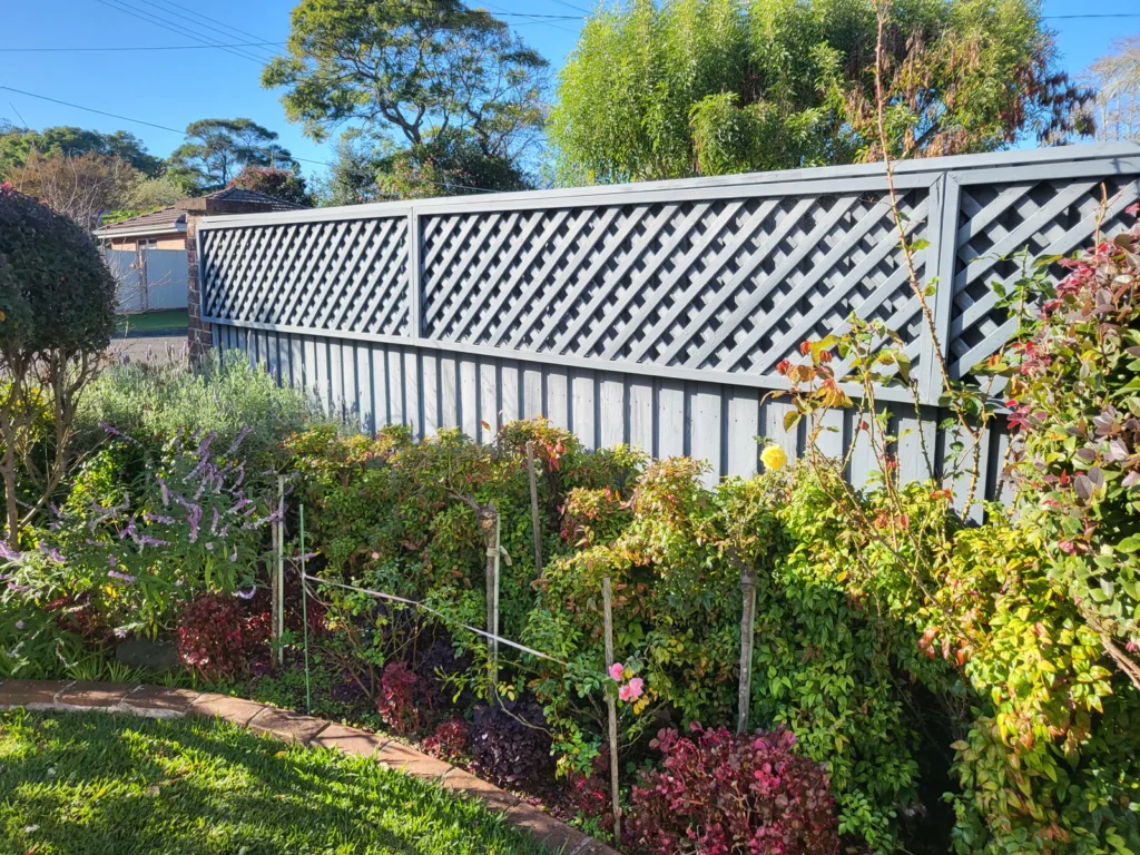 Fence and trellis before painting
