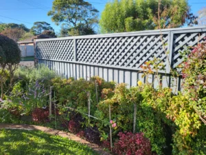 Fence and trellis before painting in Sydney