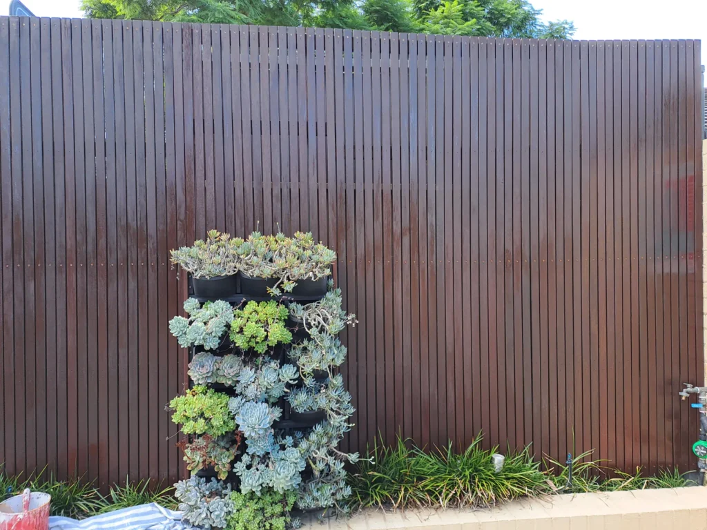 Timber fence after oiling in Ryde, Sydney