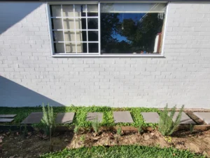 Rear garage wall after painting in Sydney