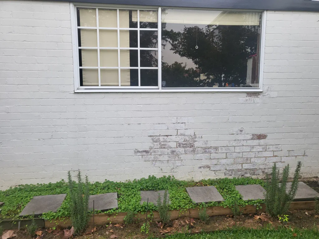 Rear garage wall before painting