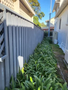 Side timber fence before painting in Sydney